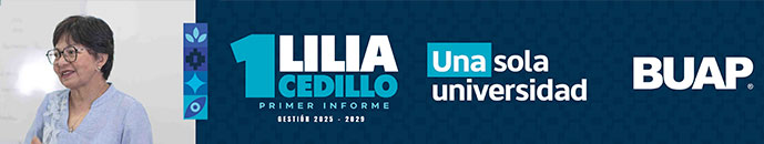 Banner principal top 
