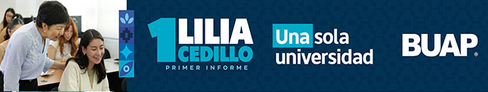 Banner principal top 