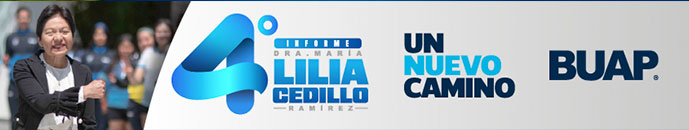 Banner principal top 