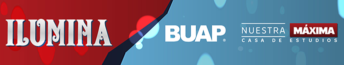 Banner principal top 