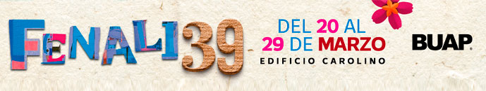 Banner principal top 