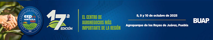 Banner principal top 