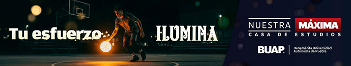 Banner principal top 