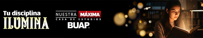 Banner principal top 