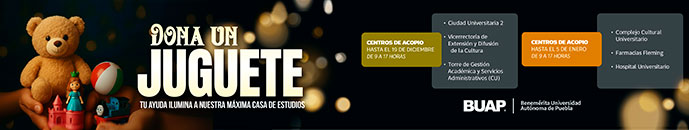 Banner principal top 