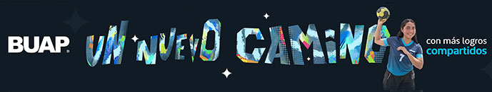 Banner principal top 