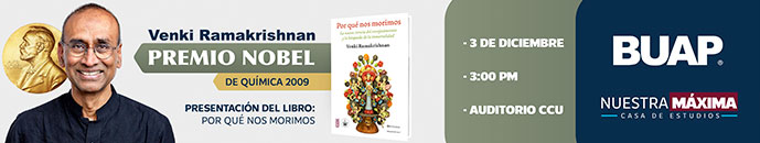 Banner principal top 