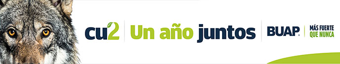Banner principal top 
